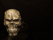 skull