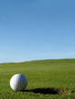 golf beside the hole