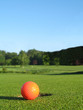 beside the hole
