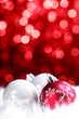 christmas decoration