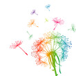 Colored dandelion with colored seeds