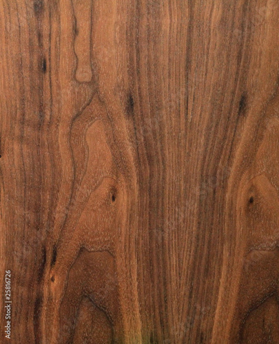 Foto: Holzstruktur Holzstruktur