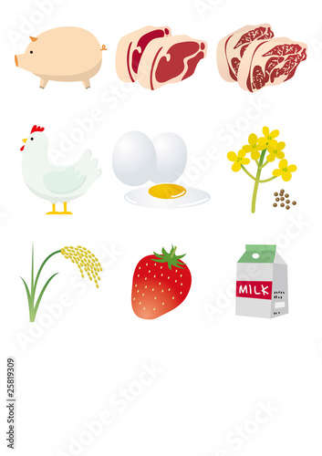 Vector: 食材イラスト 食材イラスト