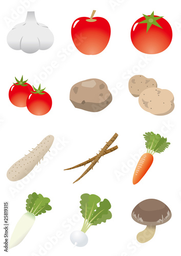 Vector: 食材 野菜イラスト 食材 野菜イラスト