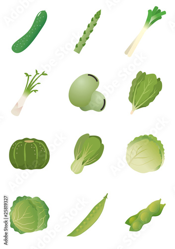 Vector: 食材 野菜イラスト 食材 野菜イラスト