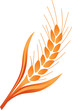 Vector illustration of ear of wheat Vector illustration of ear of wheat