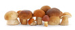 Mushrooms
