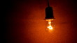 Bulb