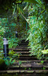 Stone stairs in the forest