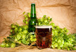 beer with hop and wheat on sacking still-life beer with hop and wheat on sacking still-life