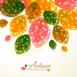 Autumn Autumn