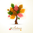 Autumn Autumn