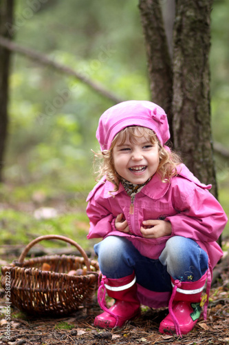 Photo: Mushroom picking Mushroom picking
