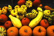 Foto: Kürbisernte vor Helloween Kürbisernte vor Helloween