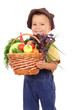 Foto: Little boy with basket of vegetables, isolated on white Little boy with basket of vegetables, isolated on white