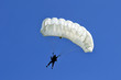 Parachute