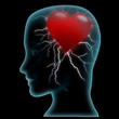 Head and heart