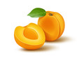 Apricot