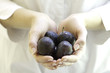 Fresh plums in woman's hands
