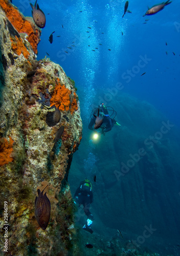 Photo: Underwater world. Divers and fishes Underwater world. Divers and fishes