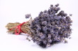 Bunch of dried lavender tied with a red string on white Bunch of dried lavender tied with a red string on white
