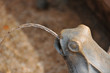 Wasserstrahl