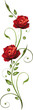Blumen, Blüten, Rose, rote Rosen, filigran, floral