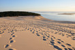 dune du pyla 43