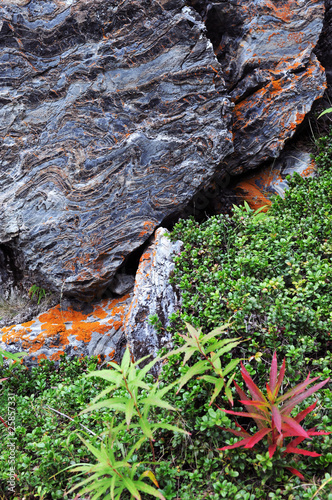 Photo: Nordic mountain tundra Nordic mountain tundra