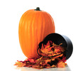 Pumpkin and Leaves