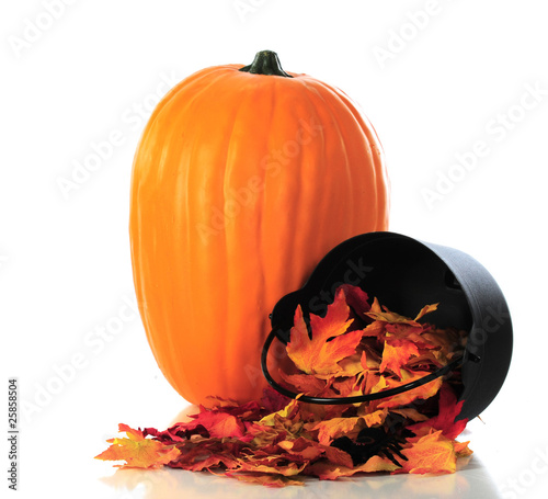 Photo: Pumpkin and Leaves Pumpkin and Leaves