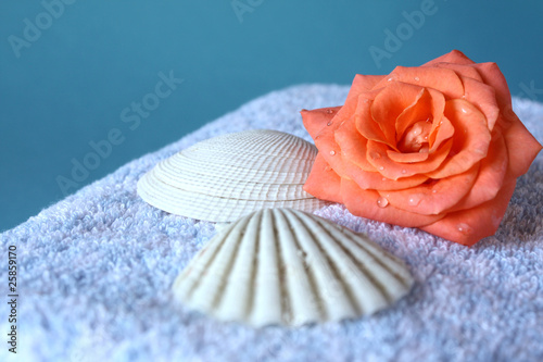 Foto: Wellness Wellness
