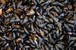 étal de moules au marché à Trouville