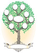 árbol genealógico - Genealogía