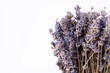 Bunch of dried lavender on white background with space for text Bunch of dried lavender on white background with space for text