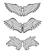 Set of Wings