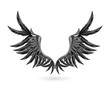 Black wings