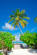 Holiday Paradise