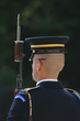 tomb guard