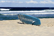 Lifeguard Lifeguard
