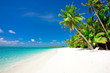 Holiday Paradise