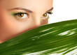 green portrait