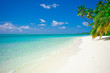 Holiday Paradise