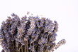 Bunch of dried lavender on white background with space for text Bunch of dried lavender on white background with space for text