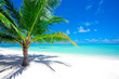 Foto: Holiday Paradise Holiday Paradise