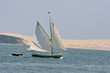 navigation sur le bassin d'Arcachon 8