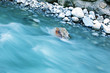 river in motion