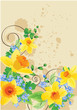 Floral beige background with daffodils