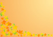Vector: Vector illustration an autumn orange background with leaves Vector illustration an autumn orange background with leaves