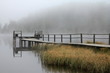 Foto: Herbst am See Herbst am See